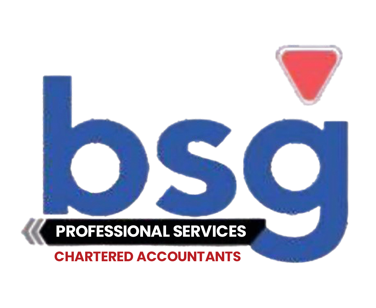BSG Professional Services