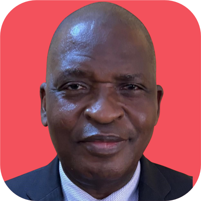 Olusesan Oluwasanya BA, FCA, MBA, FCTI, CISA