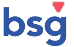 BSG Professional Services